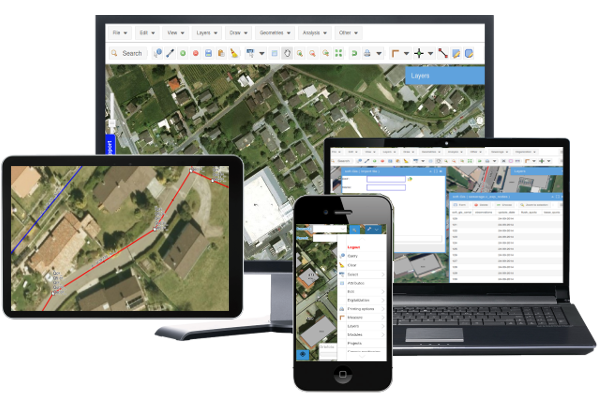 soft-GIS professional browser interface